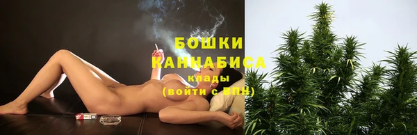 винт Верея
