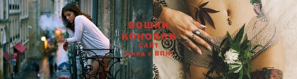 прущие крисы Верхний Тагил
