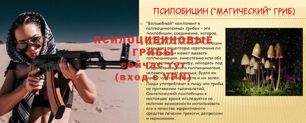 винт Верея